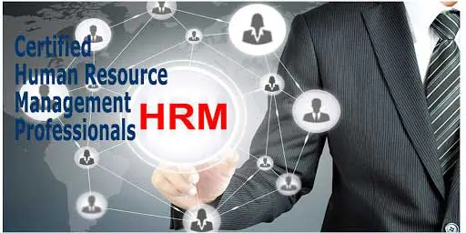 مدیریت منابع انسانی (HRM)