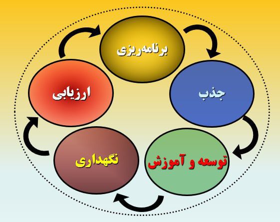 توسعه مدیریت منابع انسانی